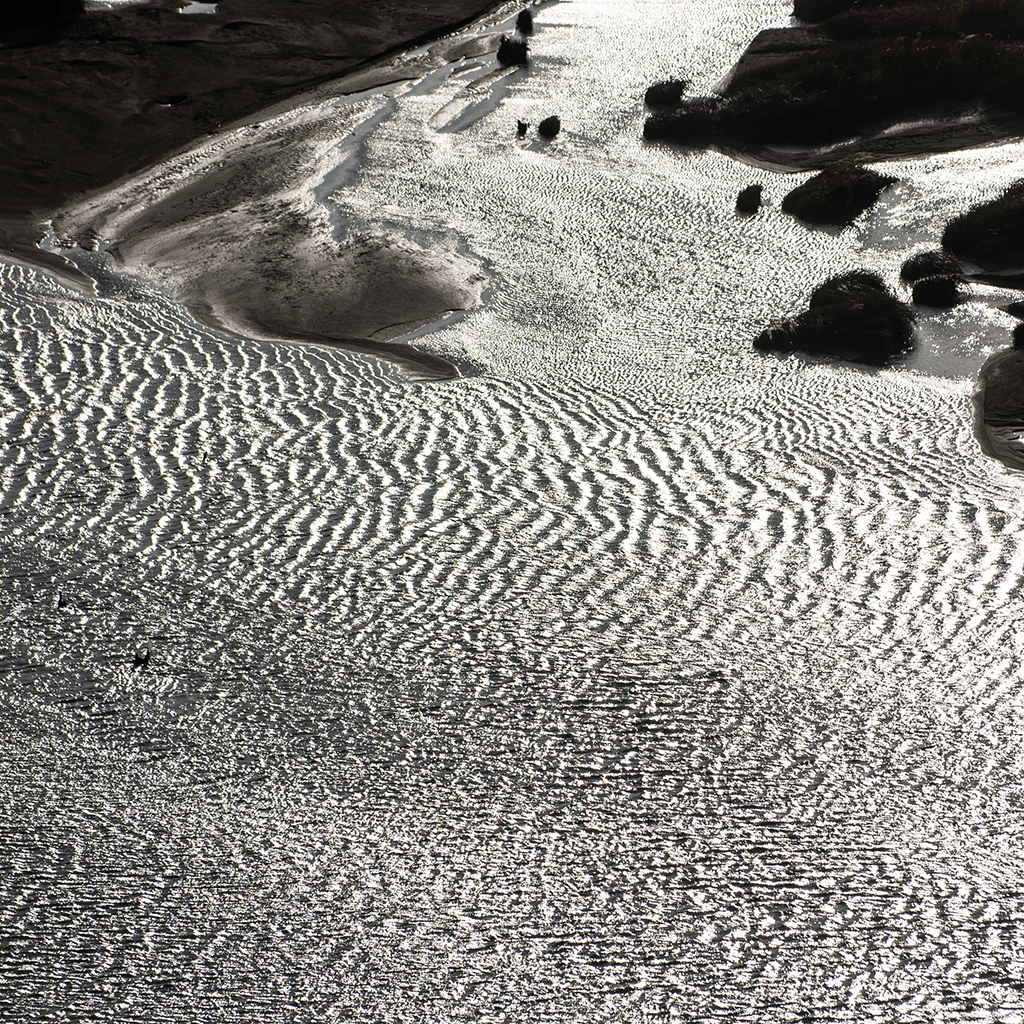 DSC_6994 cuadrada 1024 x 1024